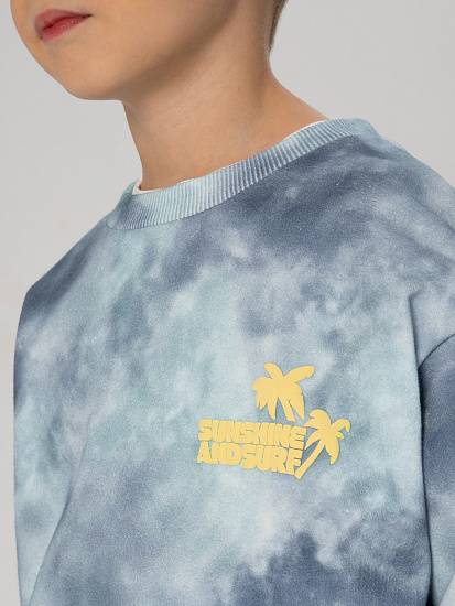 Толстовка артикул:PKBCJ03-QW-4