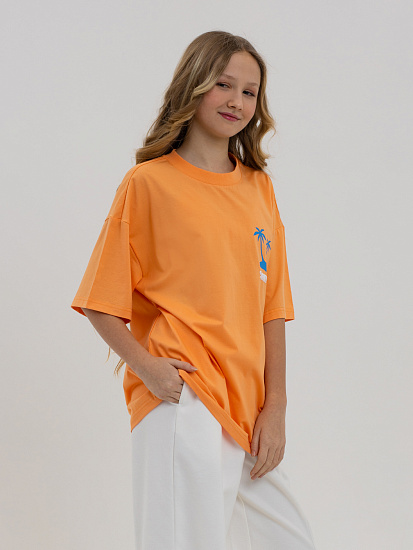 Футболка артикул:PJGCT17-51-3