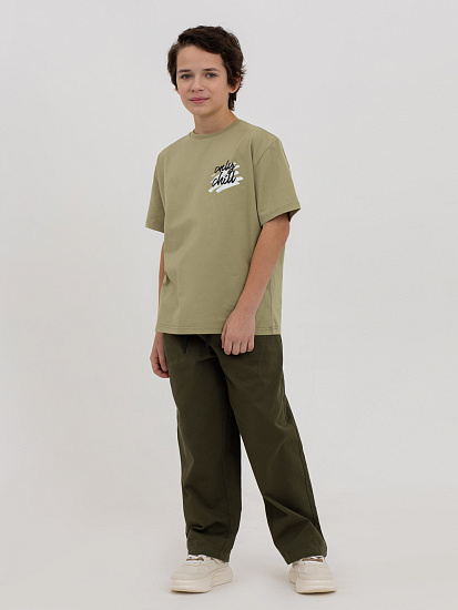 Брюки артикул:PJBCP03-64-5