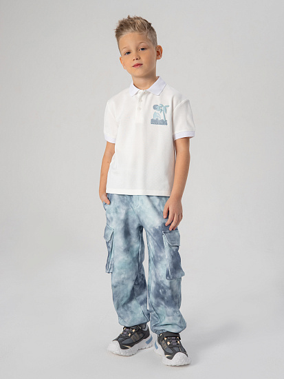 Брюки трикотажные артикул:PKBCP06-QW-3