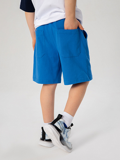 Шорты артикул:PKBCH01-Z2-6