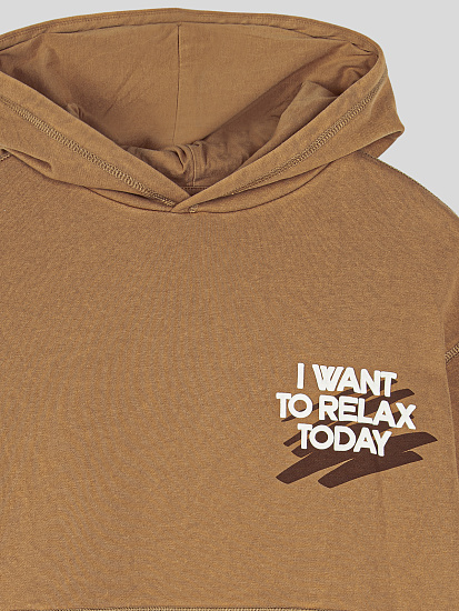 Толстовка артикул:PJBCJ02-D3-3