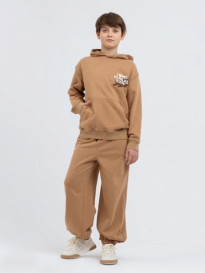 Толстовка артикул:PJBCJ02-D3-3