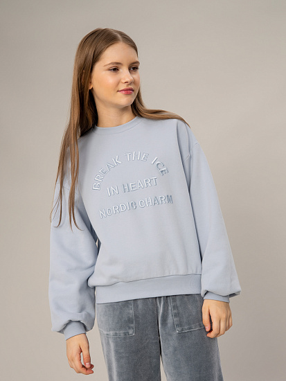 Свитшот артикул:OJGCJ04-Z1-1 Свитшот артикул:OJGCJ04-Z1-1