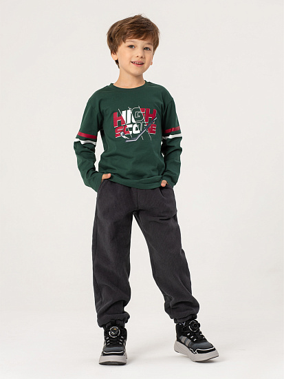 Брюки вельветовые на флисе артикул:OKBCP11-93-1