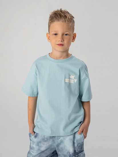 Футболка артикул:PKBCT13-N1-3