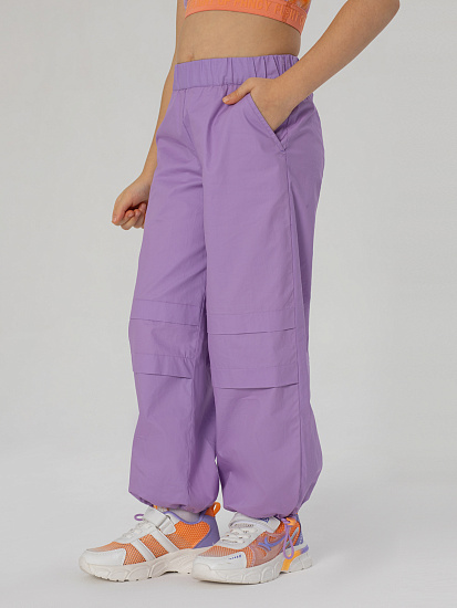 Брюки утепленные артикул:PKGCP09-V1-3