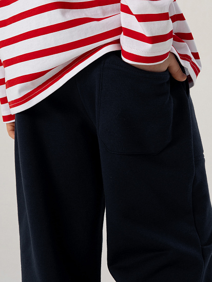 Брюки трикотажные артикул:PKBCP01-Z4-5