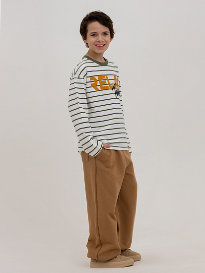 Брюки трикотажные артикул:PJBCP04-D3-4