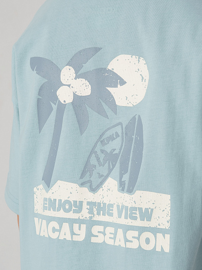 Футболка артикул:PKBCT13-N1-5