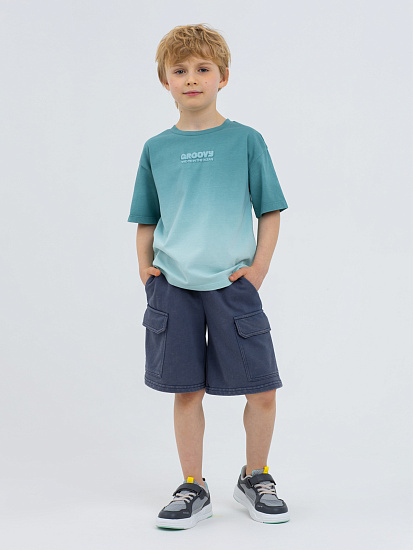 Шорты артикул:PKBCH05-91-1