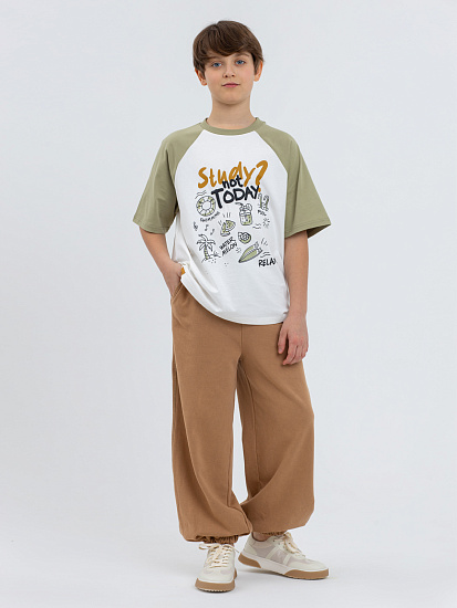 Футболка артикул:PJBCT11-G1-8