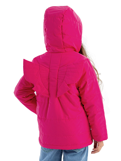 Куртка демисезонная артикул:LKGCK10-X2-2