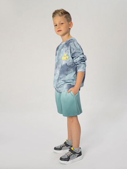 Толстовка артикул:PKBCJ03-QW-8