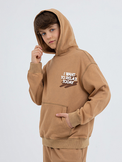 Толстовка артикул:PJBCJ02-D3-1